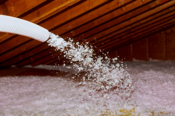Types of Insulation We Offer in Ojus, FL