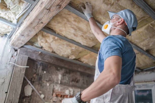 Trusted Ojus, FL Insulation Contractor Experts