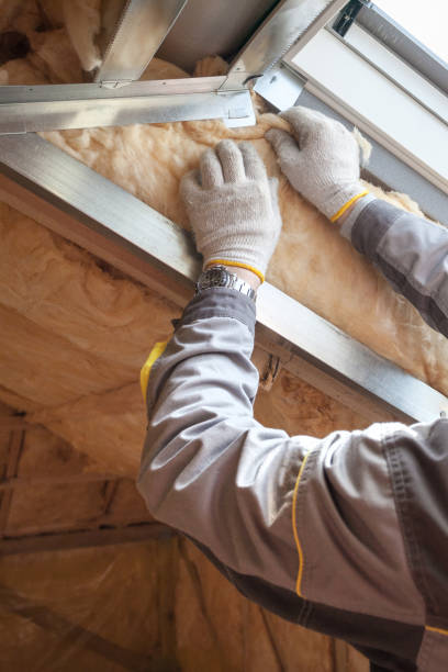 Best Fiberglass Insulation in Ojus, FL