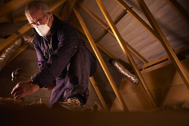 Best Spray Foam Insulation in Ojus, FL