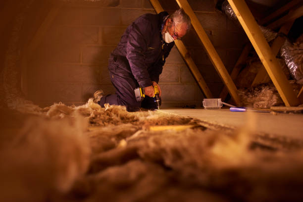 Best Residential Insulation in Ojus, FL