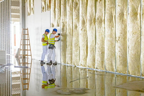 Best Geographic-Specific Insulation Services in Ojus, FL